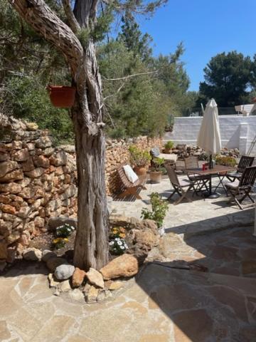 Retreat Studio Santa Eularia des Riu Exteriör bild